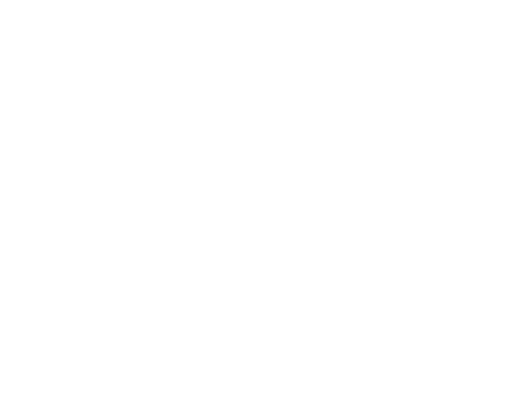 logo vert branco